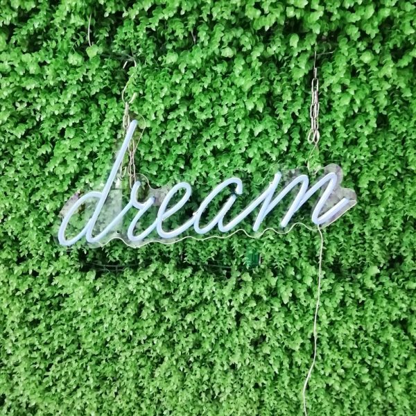 Dream (7)
