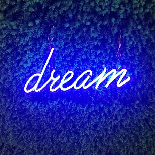 Dream (8)